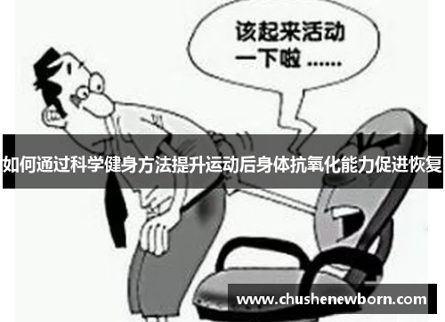 如何通过科学健身方法提升运动后身体抗氧化能力促进恢复