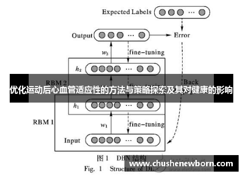 优化运动后心血管适应性的方法与策略探索及其对健康的影响