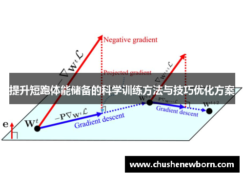 提升短跑体能储备的科学训练方法与技巧优化方案