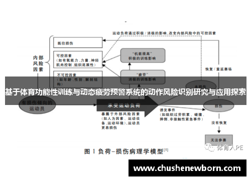基于体育功能性训练与动态疲劳预警系统的动作风险识别研究与应用探索