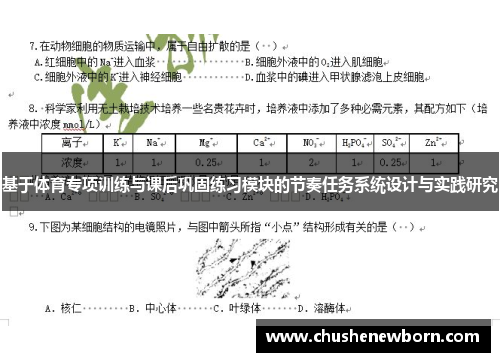 基于体育专项训练与课后巩固练习模块的节奏任务系统设计与实践研究
