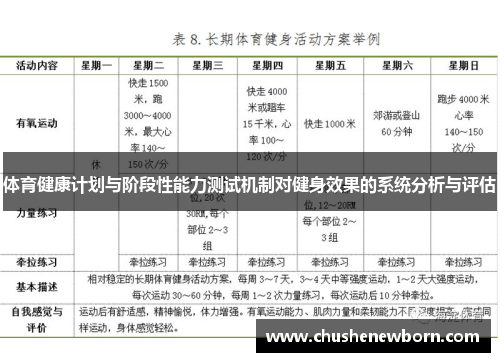 体育健康计划与阶段性能力测试机制对健身效果的系统分析与评估