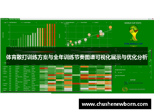 体育散打训练方案与全年训练节奏图谱可视化展示与优化分析