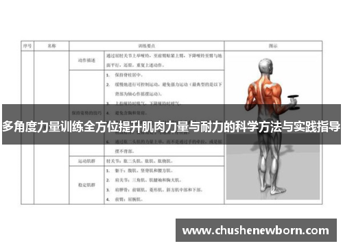 多角度力量训练全方位提升肌肉力量与耐力的科学方法与实践指导