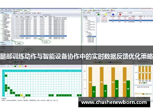腿部训练动作与智能设备协作中的实时数据反馈优化策略
